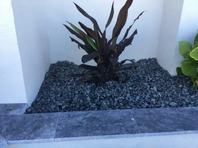 Landscape Pro's Management, LLC. - Drip Irrigation System Installation in Cape Coral, FL