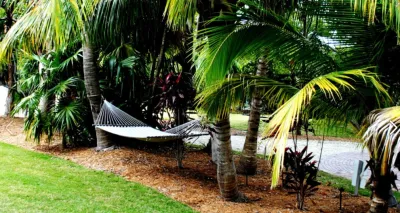 Landscape Pro's Management, LLC. - Drip Irrigation System Installation in Cape Coral, FL