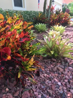 Landscape Pro's Management, LLC. - Drip Irrigation System Installation in Cape Coral, FL
