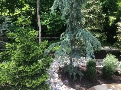Landscape Service Company - Landscape Maintenance in Gardner, KS