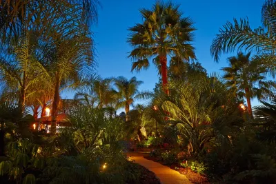 Santa Rosa Valley - Hawaiian Paradise — Landscape Construction project by Landscapes By Jeffery, Inc. in Camarillo