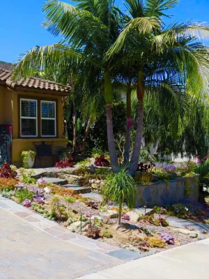 San Marcos — Landscape Design project by C & H Gardens Artistic Landscape & Tree Service in San Marcos
