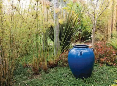 C & H Gardens Artistic Landscape & Tree Service - Drought-Resistant Lawn Installation in Encinitas, CA