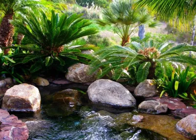 Rancho Santa Fe — Landscape Design project by C & H Gardens Artistic Landscape & Tree Service