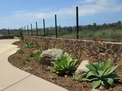 C & H Gardens Artistic Landscape & Tree Service - Drought-Resistant Lawn Installation in Encinitas, CA