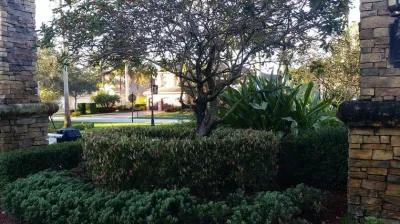 C's Designer Landscaping - Landscape Maintenance in Hallandale, FL