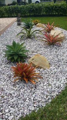 C's Designer Landscaping - Landscape Maintenance in Hallandale, FL
