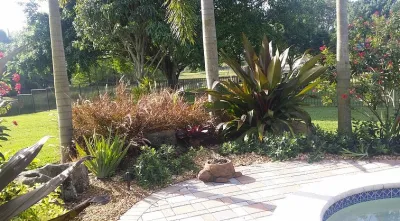 C's Designer Landscaping - Landscape Maintenance in Hallandale, FL