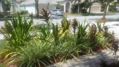 C's Designer Landscaping - Landscape Maintenance in Hallandale, FL