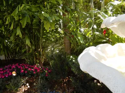 Landscaping by Steve Blaum - Landscape Maintenance in Coral Gables, FL
