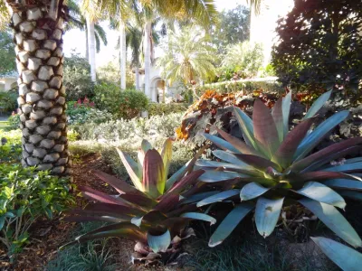 Landscaping by Steve Blaum - Landscape Maintenance in Coral Gables, FL