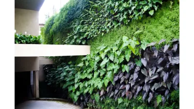 Landscaping by Steve Blaum - Landscape Maintenance in Coral Gables, FL
