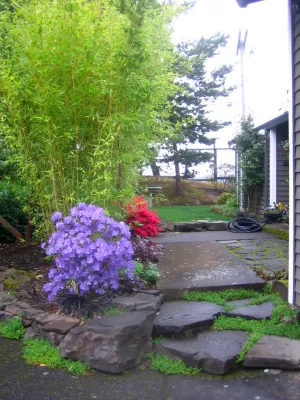 Landservices, Inc. - Lawn Care & Mowing in Portland, OR