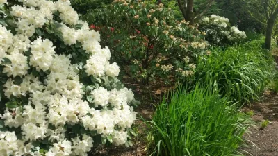 Landservices, Inc. - Lawn Care & Mowing in Portland, OR
