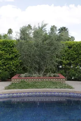 Tile Designs By Fina - Countertop Installation Services in Palm Desert, CA