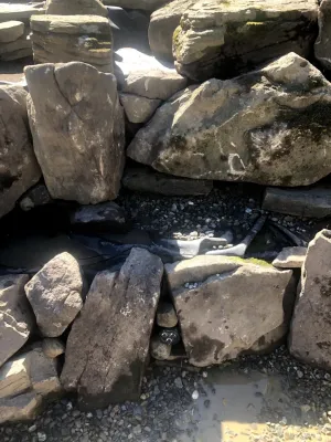 Landvista Aquascapes - Landscape Construction in Atco, NJ