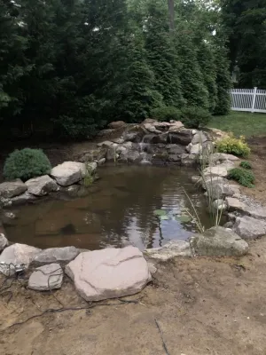 11x16' Ecosystem Pond in Haddonfield, NJ — Landscape Construction project by Landvista Aquascapes