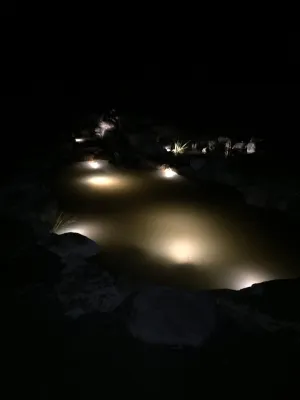 11x 16' Garden Pond, Mt. Laurel, NJ by Landvista Aquascapes