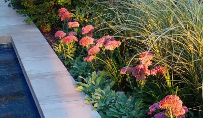 Skyline Residence — Landscape Design project by C2 | Studio Landscape Architecture in Fort Collins