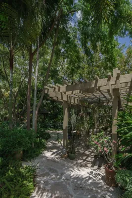 Cadence - Landscape Design in Fort Lauderdale, FL
