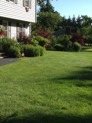 Lawn Dawg - Lawn Aeration in Nashua, NH