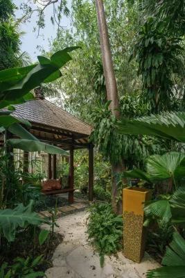 Cadence - Landscape Design in Fort Lauderdale, FL