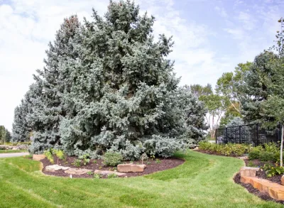 Country Club Vibes — Landscape Construction project by Lanoha Nurseries