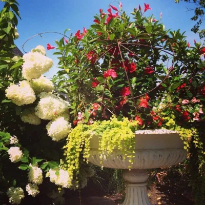 Calgo Gardens - Garden Remodeling in Freehold, NJ