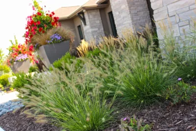 Planter Paradise by Lanoha Nurseries