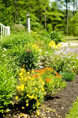 Larkspur Design - Garden Remodeling in Portland, ME