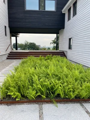 Larkspur Design - Garden Remodeling in Portland, ME