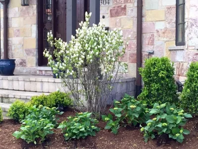 Laslo Landscaping Inc. - Garden Remodeling in Hinsdale, IL