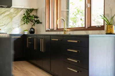 Roper Mountain Retro Modern Kitchen — Home Renovation & Remodeling Services project by Tekton Builds