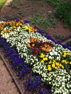 Lawn Envy - Lawn Aeration in Cumming, GA