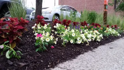 Lawncare by Walter, Inc. - Lawn Aeration in Cherry Valley, IL