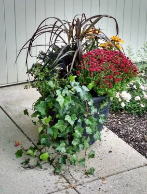 Lawncare by Walter, Inc. - Lawn Aeration in Cherry Valley, IL
