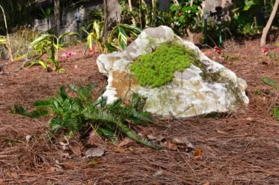 LawnMore - Landscape Maintenance in Gainesville, FL