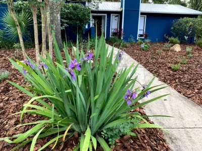 LawnMore - Landscape Maintenance in Gainesville, FL