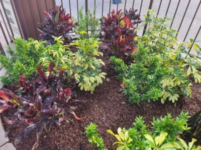 LawnMore - Landscape Maintenance in Gainesville, FL