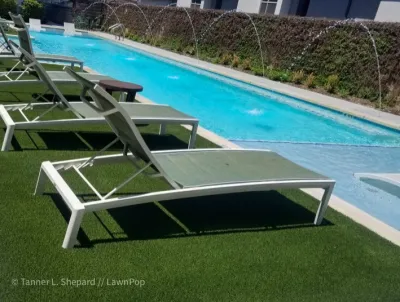 Pools with LawnPop artificial turf by LawnPop Artificial Turf