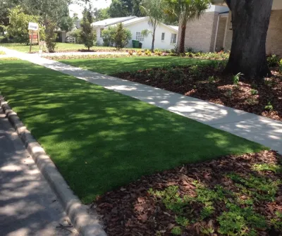 Lazy Gecko Greens of Tampa Bay INC - Landscape Construction in Clearwater, FL