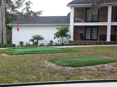 Lazy Gecko Greens of Tampa Bay INC - Landscape Construction in Clearwater, FL
