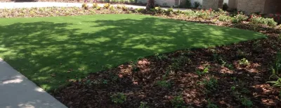 Lazy Gecko Greens of Tampa Bay INC - Landscape Construction in Clearwater, FL