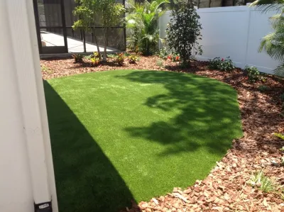 Lazy Gecko Greens of Tampa Bay INC - Landscape Construction in Clearwater, FL