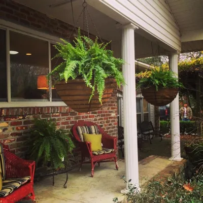 Leadenwah Landscapes - Outdoor Lighting Installation in Johns Island, SC