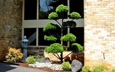 Lee's Oriental Landscape Art - Retaining Wall Construction in Silver Spring, MD