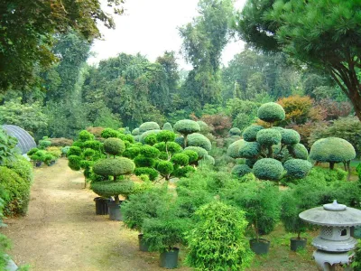 Lee's Oriental Landscape Art - Retaining Wall Construction in Silver Spring, MD