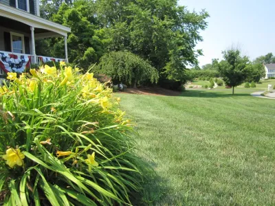 Lawn Dawg - Lawn Aeration in Nashua, NH