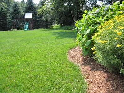 Lawn Dawg - Lawn Aeration in Nashua, NH