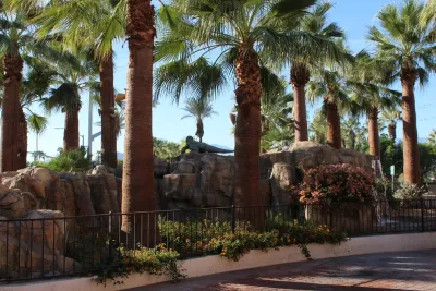Leon's Landscaping & Tree Service Inc - Tree & Shrub Care in Indio, CA